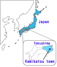 No Garbage Truck Visits This Community