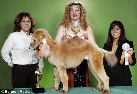 Who Let This Dog Out?