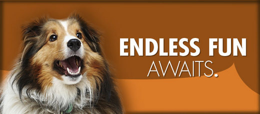 Give Your Pets The Spa Vacation They Deserve!