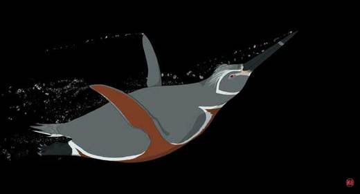 News Flash! Ancient Penguins Were Red!