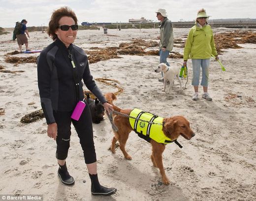 Meet Ricochet, The SURFice Dog!