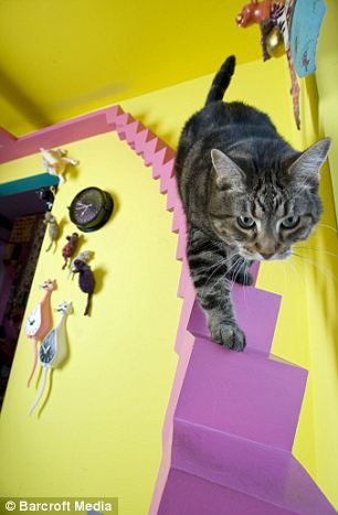 The Cats' House Is Paws-itively Fabulous!