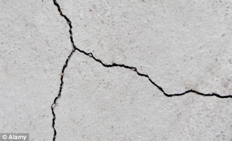 BacillaFilla - A Bacteria That Glues Concrete Walls