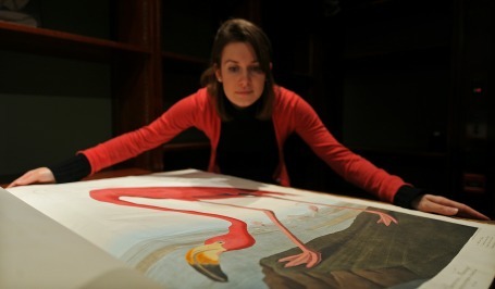 Rare Copy Of 'Birds Of America' Sells For Record Amount