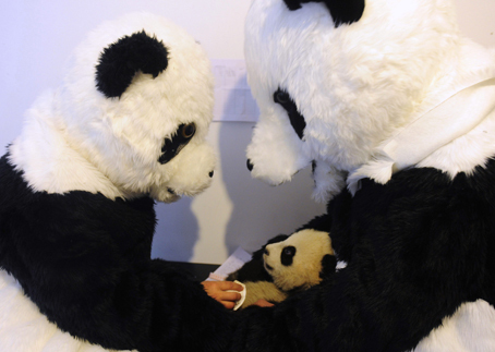 Researchers Disguise As Pandas To Save The Endangered Animals