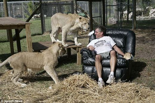 Florida Man Plans To Spend Entire January Alongside Lions!