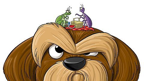 How Do Fleas Jump So High? It's All In The Toes!