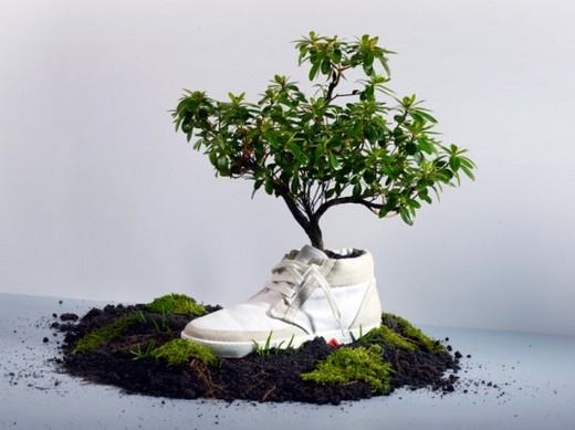 Coming Soon - Sneakers That Sprout Into Wildflowers