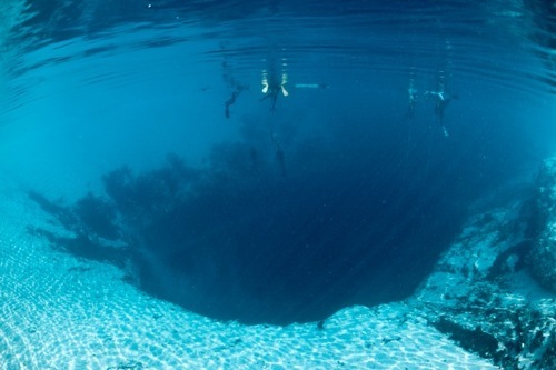 The Mysteries That Lurk Inside The 'Blue Holes' Of The Bahamas