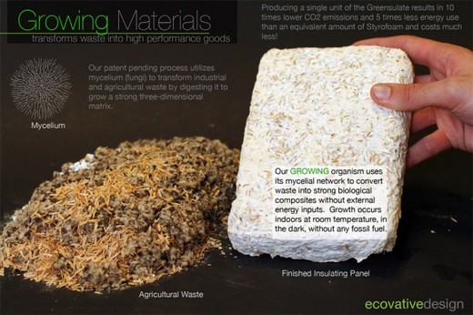 Future Ford Vehicles May Feature Some Fungus!