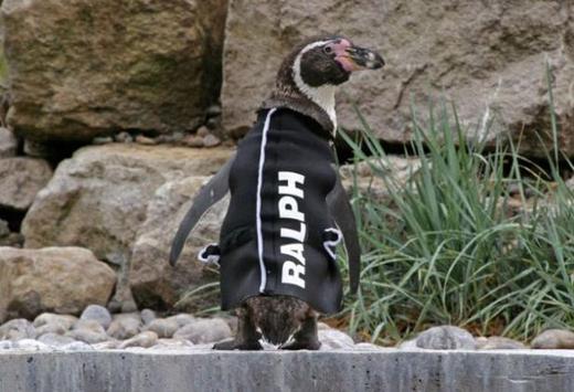 TADA! Do you like my new look?