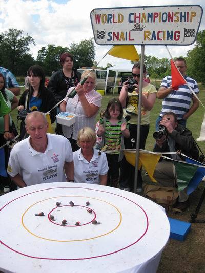 Escargot Can Really . . . . . Go?