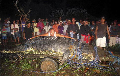Monstrous Crocodile Captured Live In Philippines