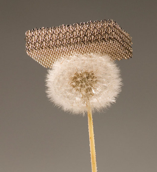 World's Lightest Material Can Be Lifted By A Dandelion Fluff!