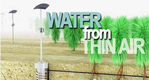 Namib Beetle Inspires Award-Winning Invention