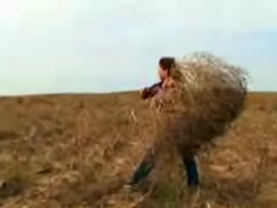 The Tumbleweed Queen!